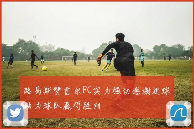 路易斯赞首尔FC实力强劲感谢进球助力球队赢得胜利