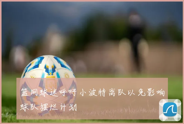 篮网球迷呼吁小波特离队以免影响球队摆烂计划