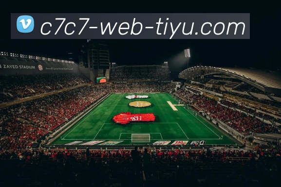 C7C7娱乐平台生态图